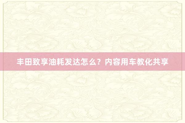 丰田致享油耗发达怎么？内容用车教化共享